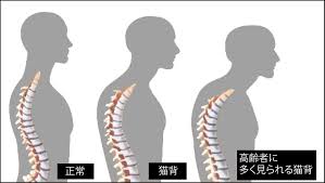images (10)