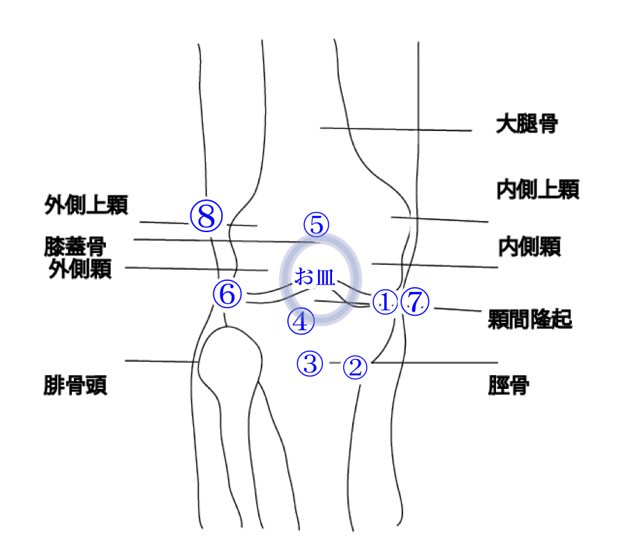 膝の症状部位別